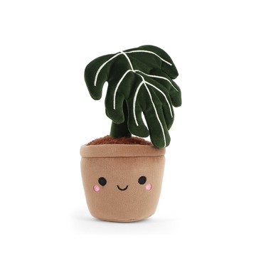 Keeleco Botanical Garden  Monstera Plant 龜背芋