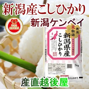 令和５年産 新米 新潟県産 コシヒカリ 新潟県産 JAえちご上越 コシヒカリ5kg 産地限定 新潟ケンベイ産 送料無料