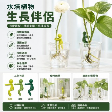 新款水培植物生長伴侶 水培器皿扶正扶枝 水培伴侶 水培植物扶正器 桌麵裝飾 固定造型 扶枝工具