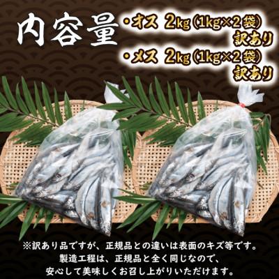 ふるさと納税 大洗町 カラフトシシャモ雄雌食べ比べ4kgセット