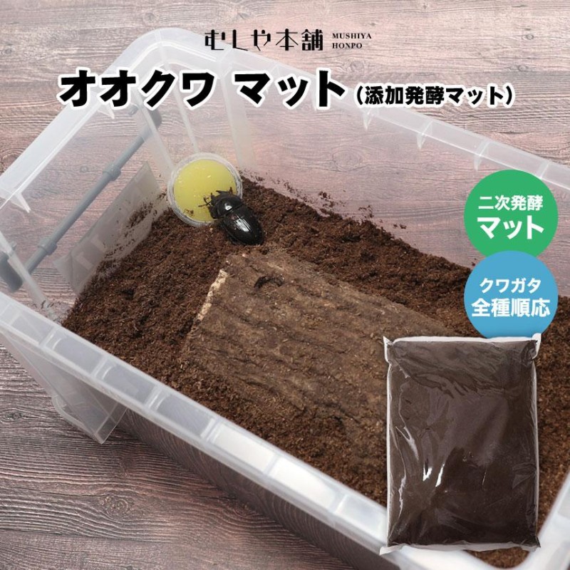 オオクワガタ マット 産卵 販売