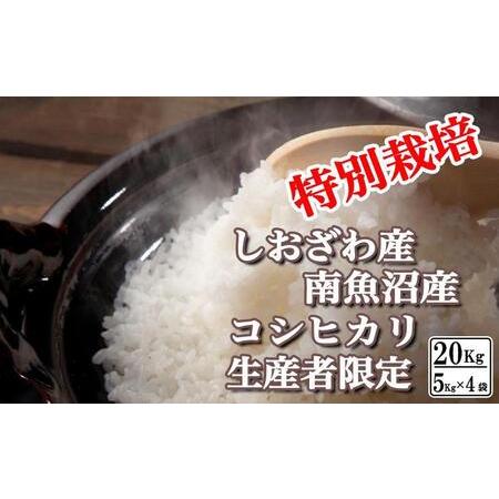 ふるさと納税 特別栽培 生産者限定 南魚沼しおざわ産コシヒカリ20Kg 新潟県南魚沼市