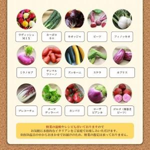 ふるさと納税 かほくイタリア野菜 旬のおまかせBOX（8〜10種類） 山形県河北町