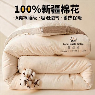 (免運)新疆棉花被子冬被棉被夏涼被空調被純棉全棉可機洗被芯單雙人棉絮