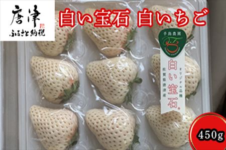 『予約受付』白い宝石 白いちご 450g 贈答用 いちご 苺