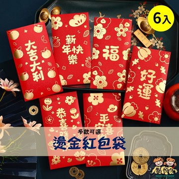 【點悅家】燙金紅包袋(6入) 珠光紅包 花花紅包 新年紅包 文字紅包 喜慶用品 紅包袋 多款可選 G19