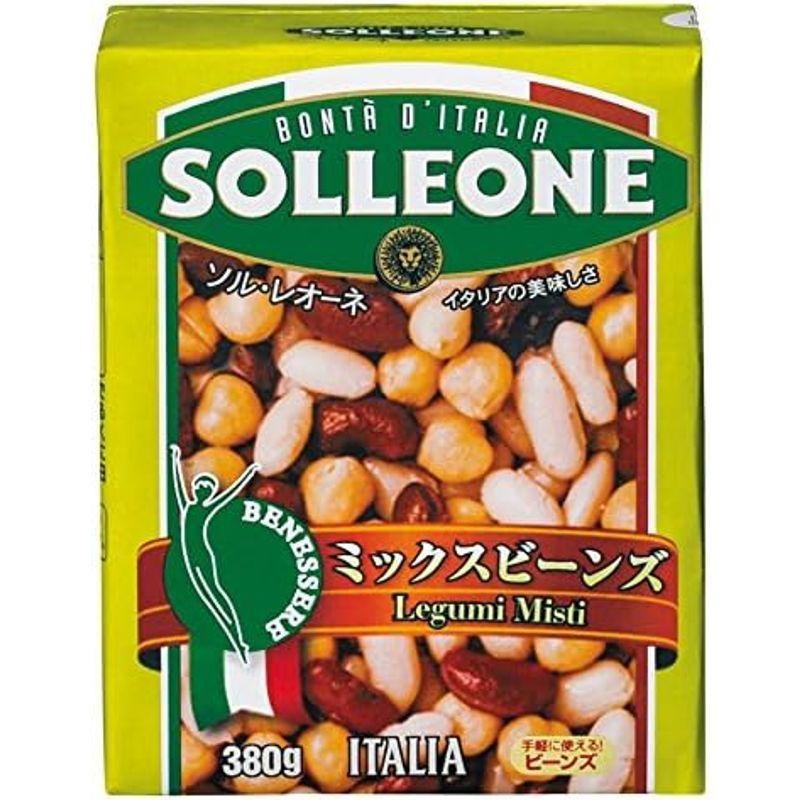 SOLLEONE ソル・レオーネ ミックスビーンズ 380g (テトラ紙パック) 1ケース(16パック)