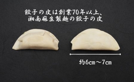 こだわりの餃子　湘南麻生製麺　冷凍生餃子90個　（30個×3箱）