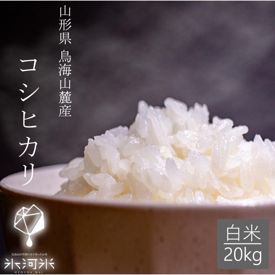 米 コシヒカリ 白米 20kg 送料無料 高級 特別栽培米 山形県産 令和5年産 美味しいお米 氷河米 山形 庄内 農家直送