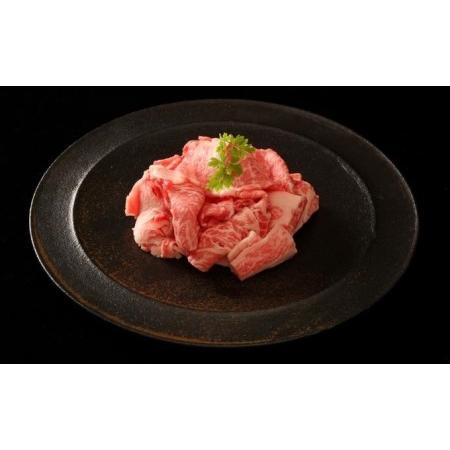 ふるさと納税 神戸牛 サーロインステーキ＆切り落とし肉 お試し用 牛肉 和牛 お肉 サーロイン ステーキ肉 切り落とし 肉 牛丼 肉じゃが 炒め物に.. 兵庫県加西市