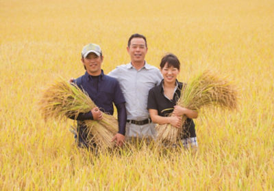 山形 井上農場 イノウエノウジョウ 食べ比べ5品種(各2合×4個)米