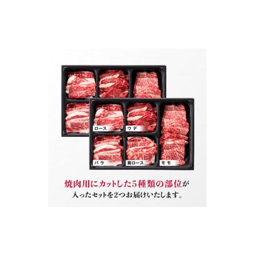 ふるさと納税 宮崎県 川南町 黒毛和牛5種盛り 焼肉セット（数量限定）600g 【 肉 牛肉 国産 宮崎県産 黒毛和牛 ミヤチク BBQ バーベキュー …