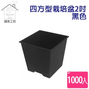 四方型栽培盆2吋-黑色(厚) 1000個/件