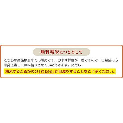 令和5年産 新米 コシヒカリ 精米 白米 10kg 千葉県産 White Rice