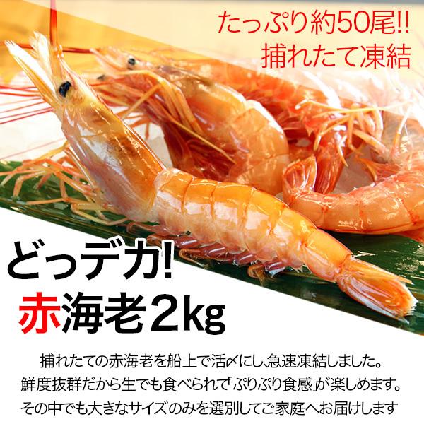 有頭赤えび2kg　送料無料 新鮮船上凍結(50尾前後)