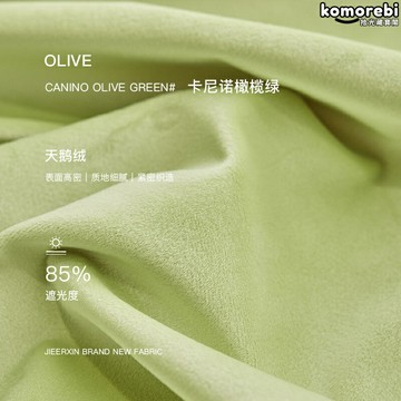 【高遮光輕奢】純色窗簾 遮光窗簾 成品窗簾 現代簡約 加厚垂順 免打孔設計 臥室客廳飄窗陽臺通用