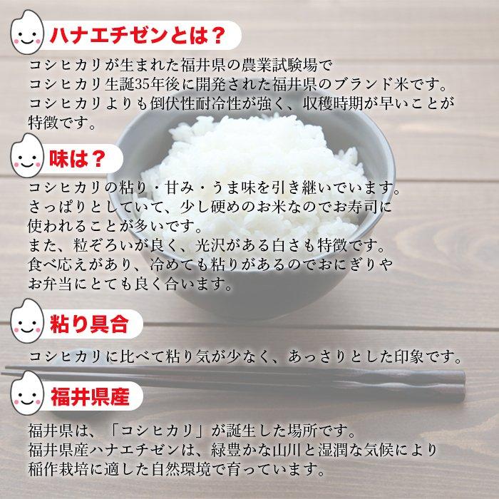 新米 令和4年産 福井県産 ハナエチゼン 5kg×2袋 10kg 米 お米 白米 おこめ 華越前 精米 単一原料米 ブランド米 10キロ 送料無料 国内産 国産