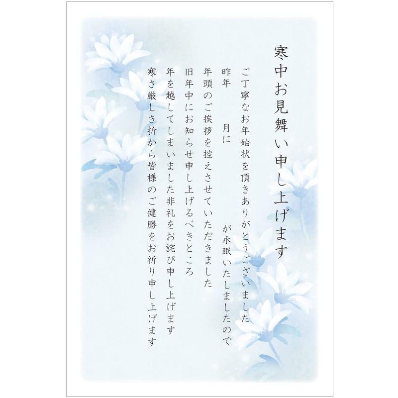 寒中見舞いハガキ 喪中タイプ 10枚 手書き記入 胡蝶蘭切手付き官製はがき Kcm304 白菊 通販 Lineポイント最大get Lineショッピング