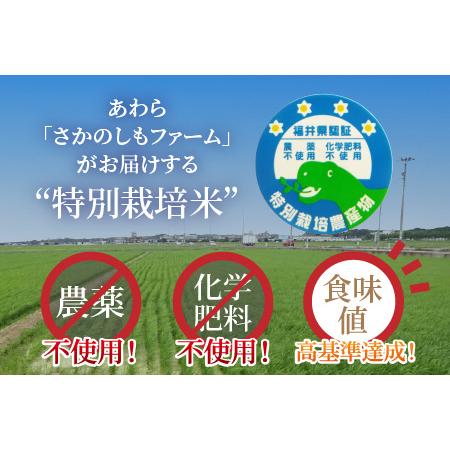 ふるさと納税 《定期便3回》コシヒカリ 精米 5kg （計15kg）特別栽培米 農薬不使用 化学肥料不使用 ／ 高品質 鮮度抜群 福井.. 福井県あわら市