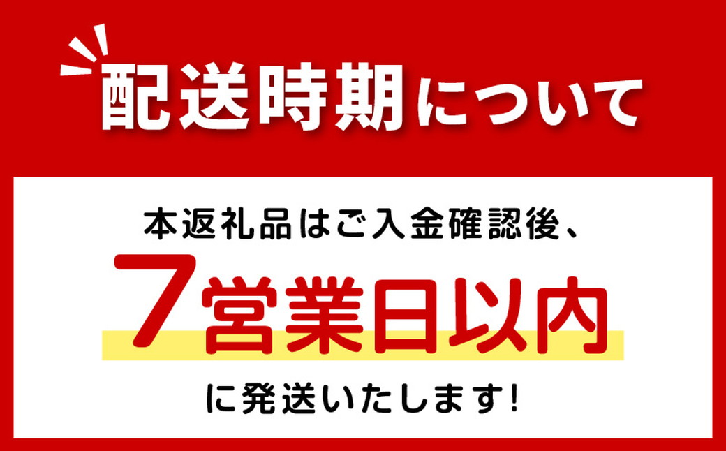 《7営業日以内に発送》大地の恵み北海道オニオンスープ 4袋×1箱 玉ねぎ スープ たまねぎ 小分け オニオン ふるさと納税 即席 簡単 粉末 調味料