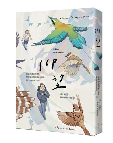 仰望 從臺灣飛向世界，串連文化與自然、時間與空間的鳥之宇宙【城邦讀書花園】