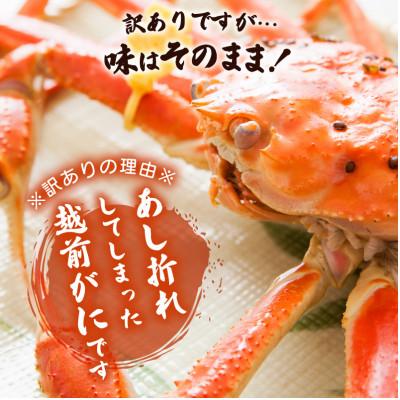 ふるさと納税 越前町 地元鮮魚店厳選  ≪浜茹で≫ 足折れ 越前がに 中サイズ 1杯