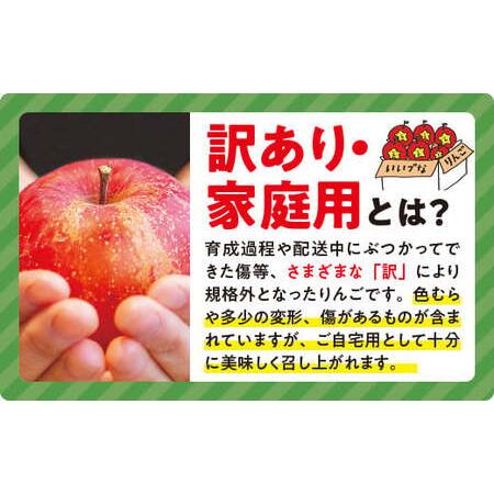 ふるさと納税 りんご 10Kg  果物 訳あり シナノスイート 長野県 「感謝りんご」交換保証 不揃い 規格外 傷あり 10キロ .. 長野県飯綱町