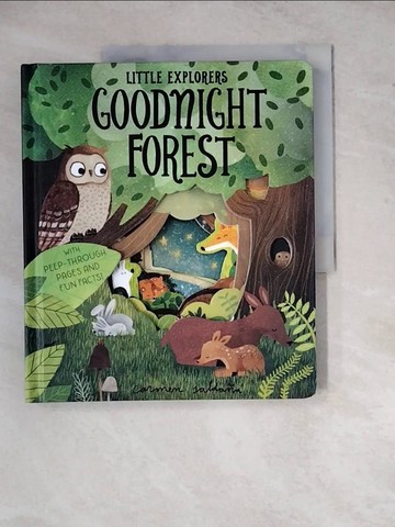 【書寶二手書T7／少年童書_Z17】Goodnight Forest_Becky Davies