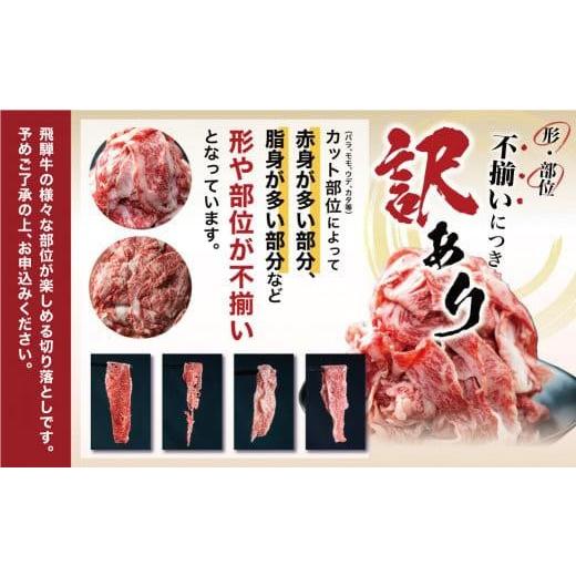 ふるさと納税 岐阜県 高山市 飛騨牛 切り落とし 600g 牛肉 訳あり 不揃い  日付指定不可