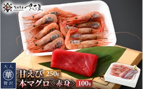 [e04-a101]  お刺身 セット 甘海老 250g × 2P ＆ 本まぐろ 赤身 100g × 1P 