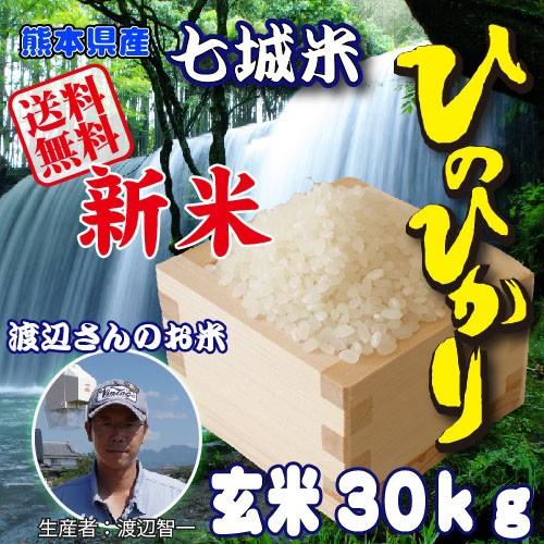 ヒノヒカリ　熊本県産　七城米（渡辺米）　ひのひかり　玄米３０kg