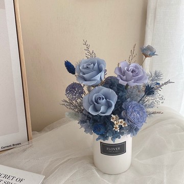 星夜藍永生盆花