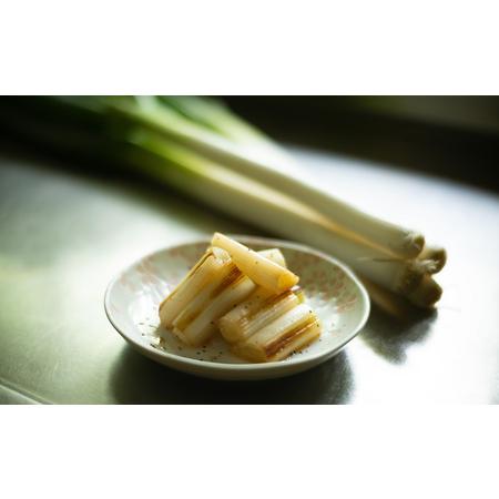 ふるさと納税 野菜セット 白ネギと季節の野菜 BOX 広島県三原市産 池ちゃん農園 広島県三原市