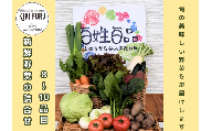 新鮮野菜の詰め合わせ（８～10品目）