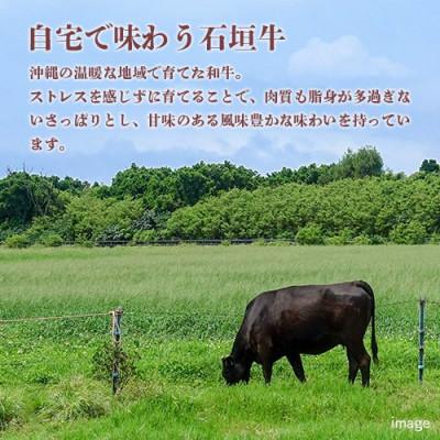 ふるさと納税 豊見城市 沖縄県産石垣牛ヒレステーキ360g(180g×2枚)