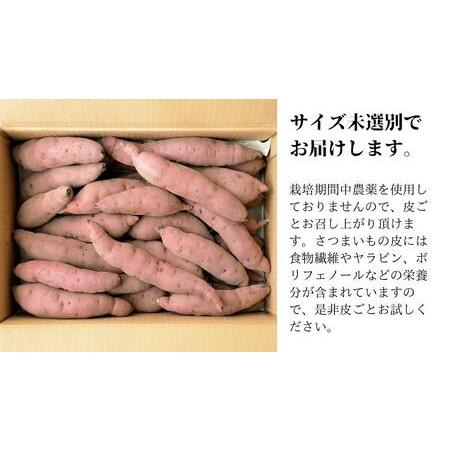 ふるさと納税  つくばみらい市産 さつまいも 紅はるか 土付き5kg サイズ未選別 サツマイモ つくばみらい いも 照沼 食物.. 茨城県つくばみらい市