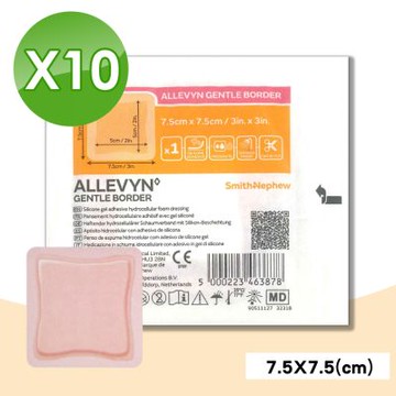 【史耐輝】矽膠愛力膚敷料(7.5 x7.5CM) 10片/盒(人工皮)