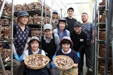 生しいたけ800g Mサイズ(100g×4パック) Lサイズ(200g×2パック) 軸太 肉厚 椎茸 シイタケ 野菜 やさい 故郷 ふるさと 納税 国産 北海道産 北海道 下川町 F4G-0013