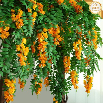 【仿真免打理】吊蘭綠植 假花藤條 裝飾花藤 垂吊植物 壁掛植物 塑料花藤 燈籠造型 室內裝飾 客廳陽臺 婚慶背景牆