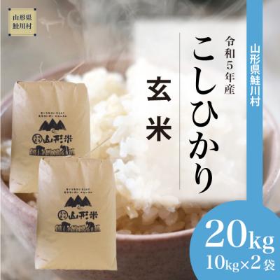 ふるさと納税 鮭川村 令和5年産鮭川村コシヒカリ20kg(10kg×2袋)