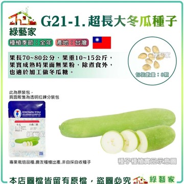 【綠藝家】G21-1.超長大冬瓜種子8顆(台農二號) 冬瓜 果長70~80公分，果重10~15公斤，果實成熟時