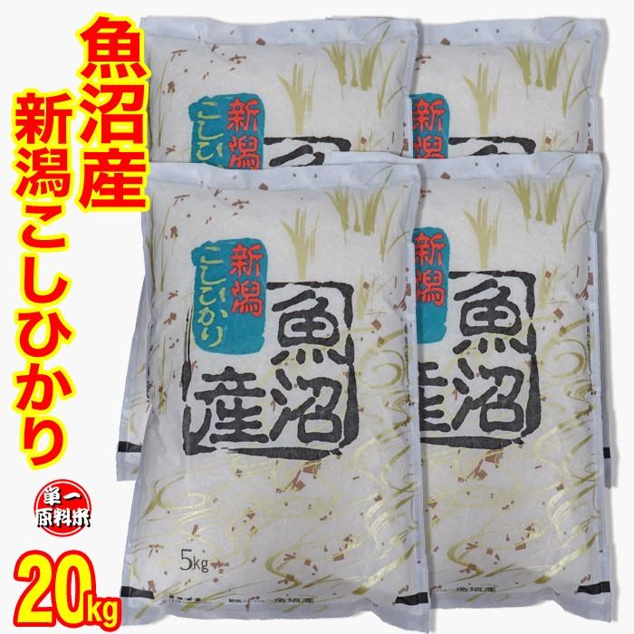 お米 米 魚沼産コシヒカリ 20kg(5kg×4) 令和5年度 送料無料 (産地直送米  一部地域は送料かかります 新潟 こしひかり 白米