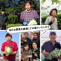  産地直送 ！ 旬 の 産直 野菜 セット 詰め合わせ  BOX 新鮮 詰合せ つめあわせ 直送 茨城 茨城県 おまかせ [CN001ya]