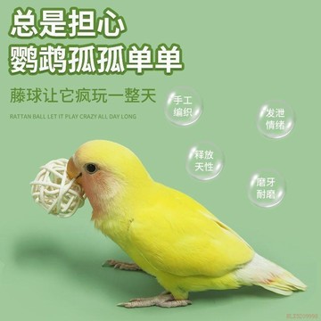 桃園出貨✨鸚鵡藤球啃咬玩耍玩具訓練益智磨牙覓食互動玄風虎皮小寵鍛鍊用品