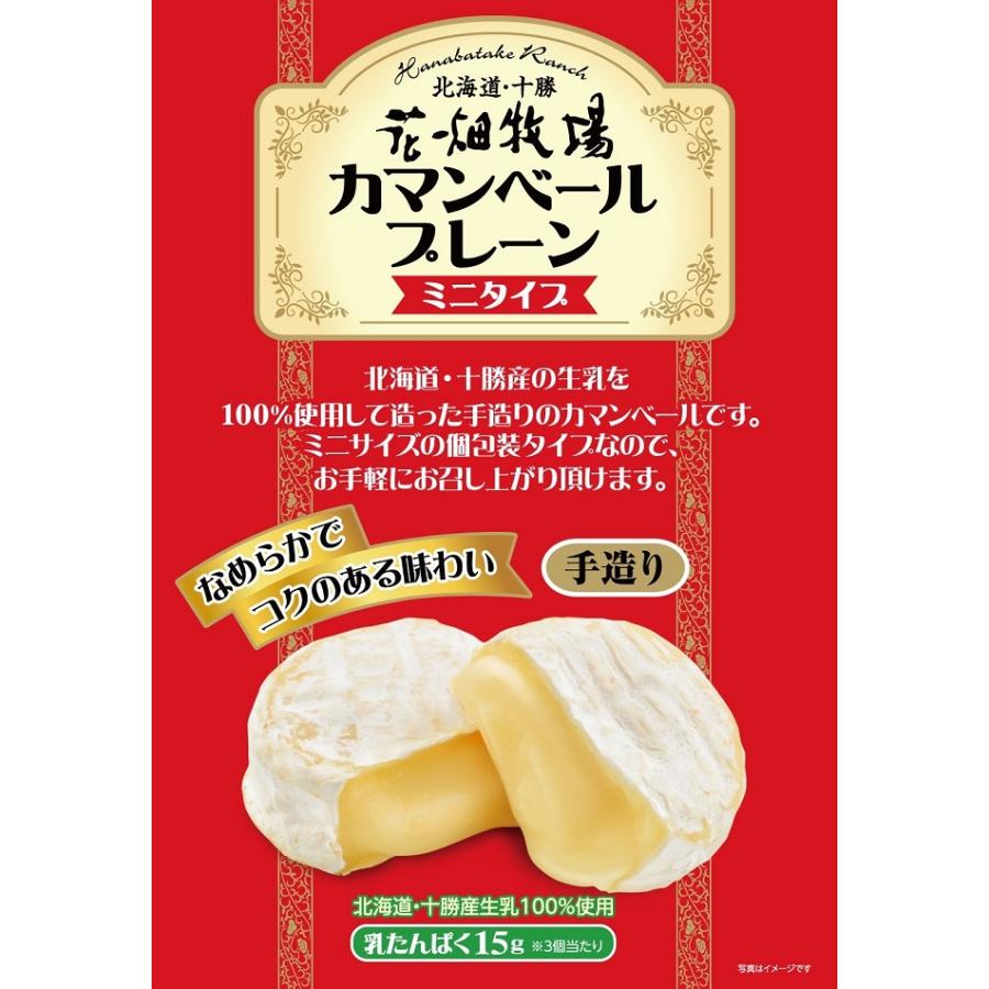 花畑牧場 メダルモッツァレラ チーズ 1kg ＆ ミニカマンベール20個セット