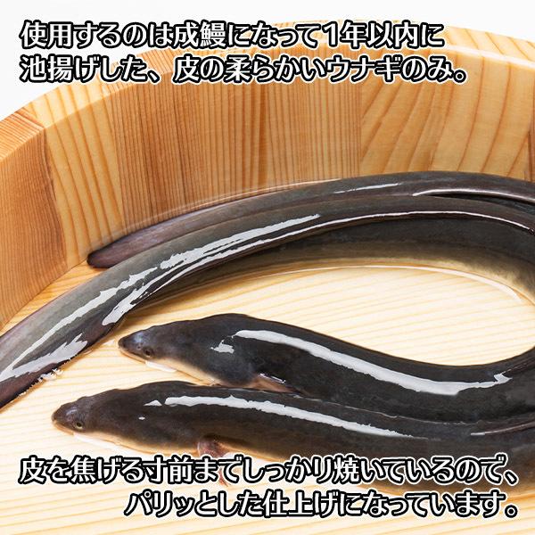 お歳暮 ギフト うなぎ ウナギの蒲焼き 4尾 セット 鰻 蒲焼き 海鮮 お取り寄せ プレゼント