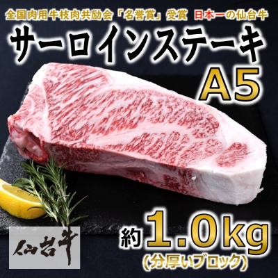 ふるさと納税 村田町 サーロインステーキ ブロック 約1.0kg(約1000g×1)