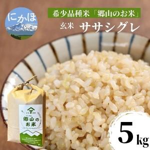 ふるさと納税 ササニシキの親　農薬不使用のササシグレ「郷山のお米」5kg（玄米） 秋田県にかほ市