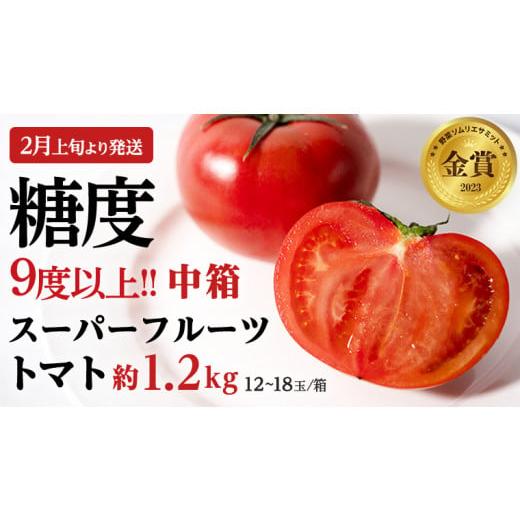 ふるさと納税 茨城県 桜川市 スーパーフルーツトマト 中箱 約1.2kg × 1箱 （12〜18玉／1箱） 糖度9度以上 フルーツトマト トマト …