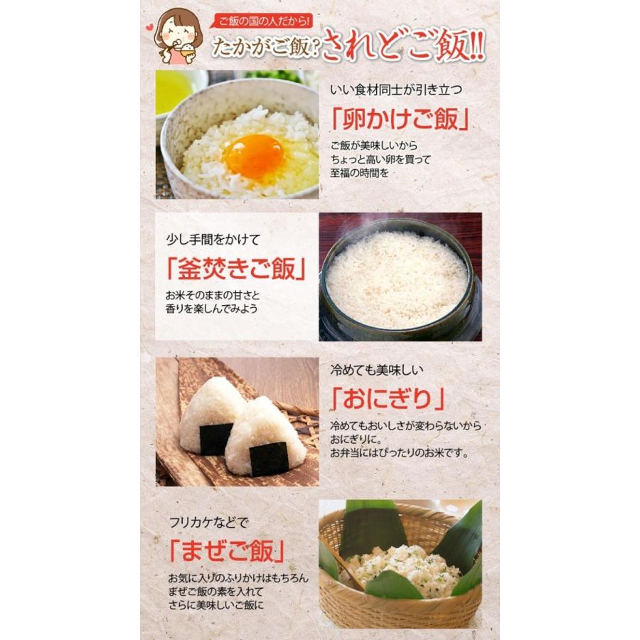 米 新米 送料無料 ひのひかり 令和5年産 熊本県産  5kg x 2袋 計10kg